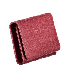 PINIGINĖ VPS8ZG43SAMBARE