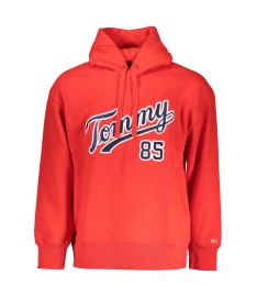 TOMMY HILFIGER DŽEMPERIS DM0DM15711-1