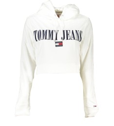 TOMMY HILFIGER DŽEMPERIS DW0DW14927