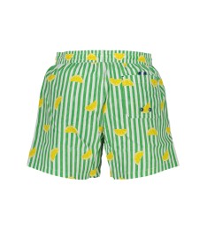 NORTH SAILS MAUDYMOSI APRANGA 673720000